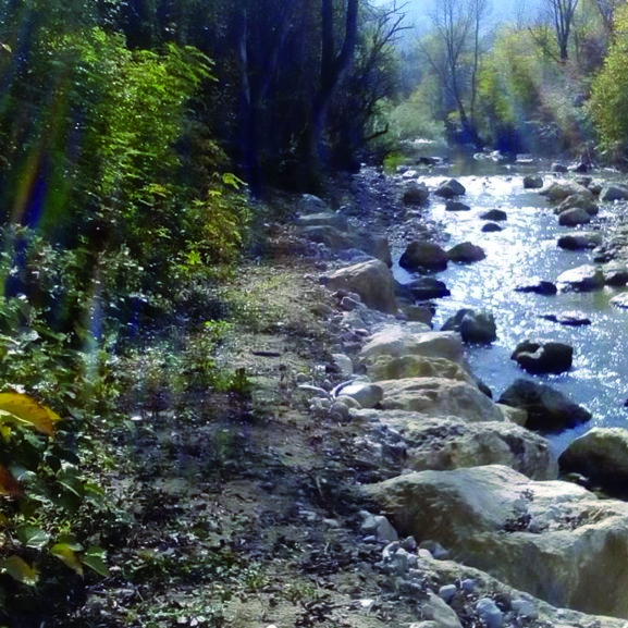 CONTINUITE ECOLOGIQUE Végétalisation en cours (Seuil du Revol – SIAGA) et diversification des écoule